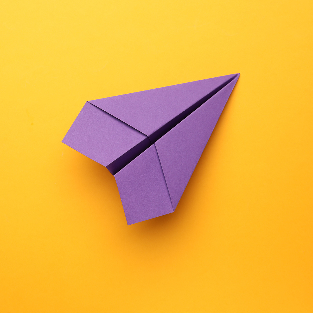 Papirfly